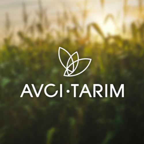 Hatice Avcı