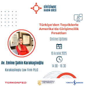 Türkiye’den Teşviklerle Amerika'da Girişimcilik Fırsatları